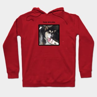 Cute Black Husky Dog Tongue Out How Are You Hoodie